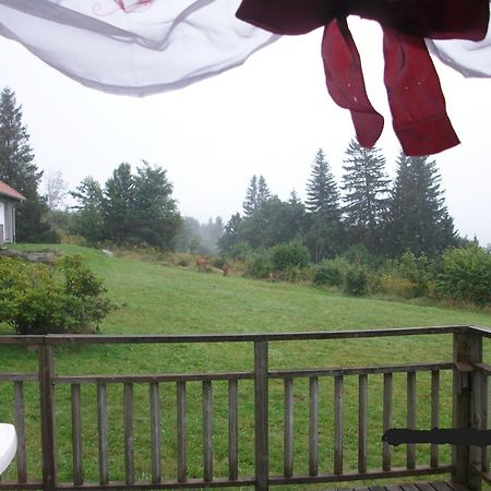 Les Angeliques Apartment Gerardmer Ngoại thất bức ảnh
