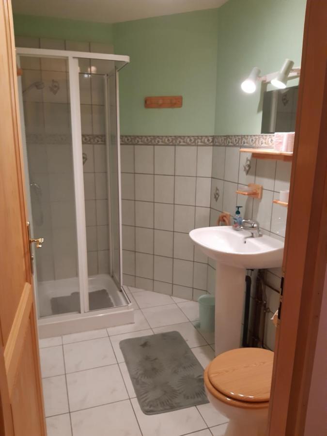 Les Angeliques Apartment Gerardmer Ngoại thất bức ảnh
